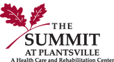 The Summit at Plantsville